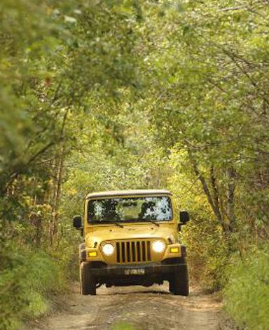 jeep-safari