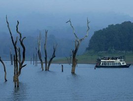 thekkady