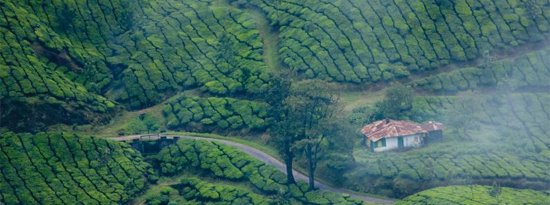 munnar