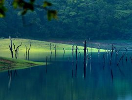 thekkady