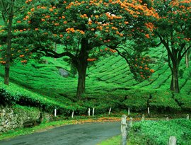 munnar