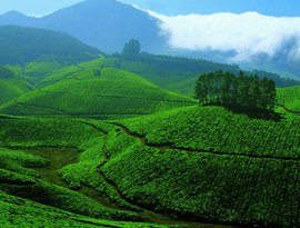 munnar