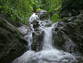 vagamon