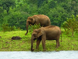 thekkady